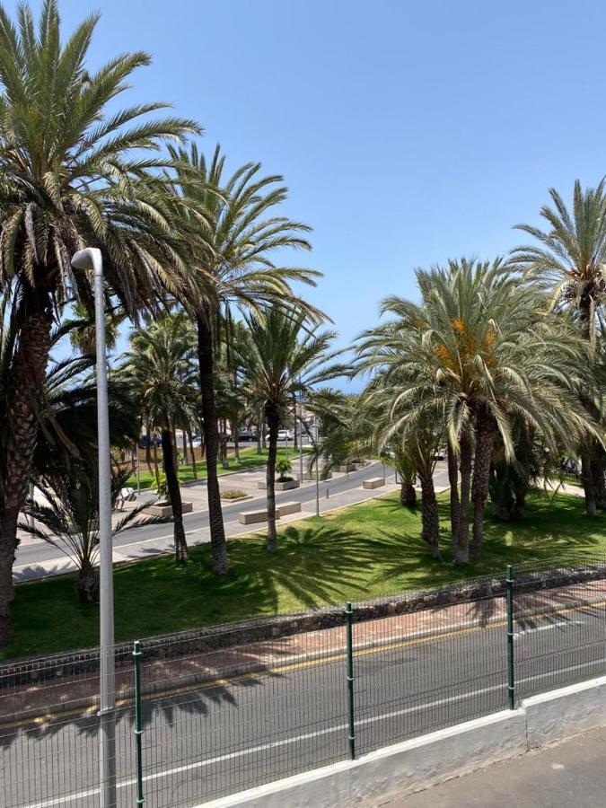 Piteras * Playa de las Americas (Tenerife)